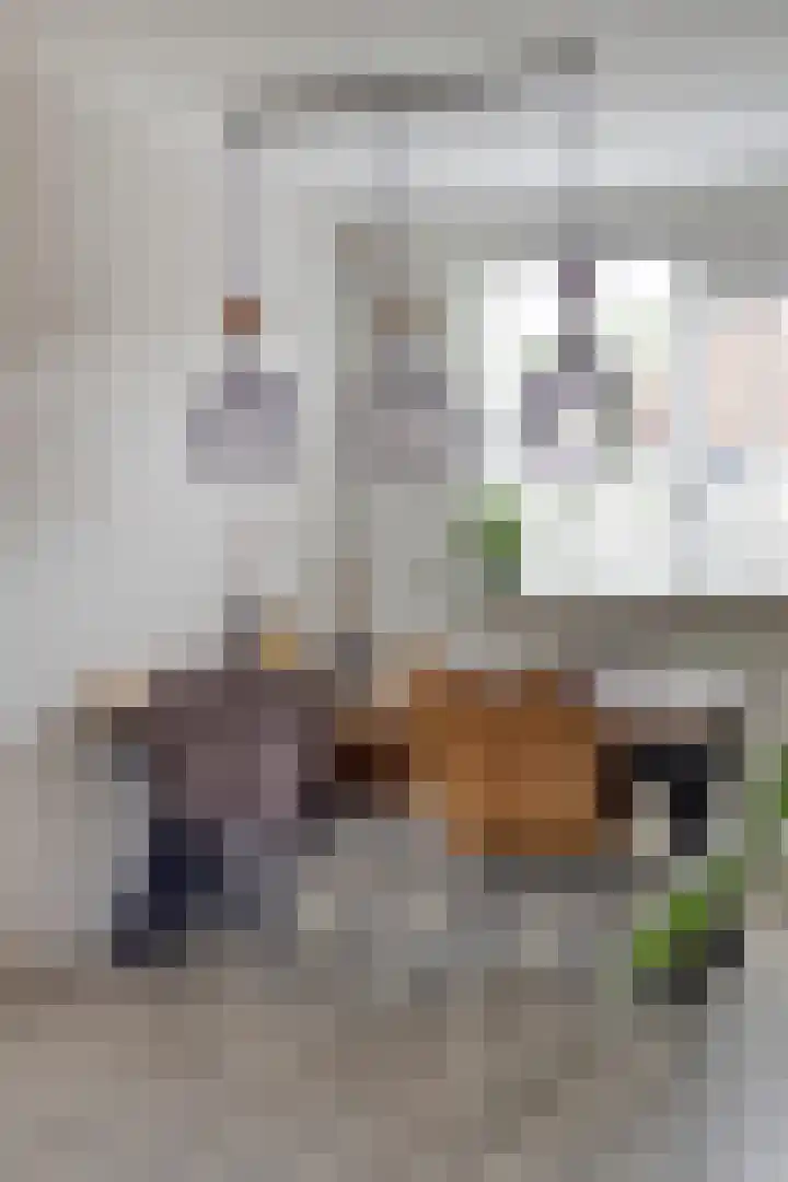 Stijgbeugel 100 Zwaag thumbnail 18