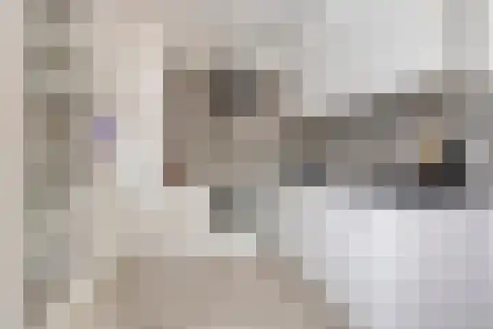 Stijgbeugel 100 Zwaag thumbnail 19