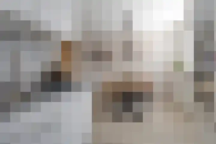 Stijgbeugel 100 Zwaag thumbnail 20