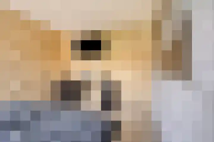 Stijgbeugel 100 Zwaag thumbnail 25