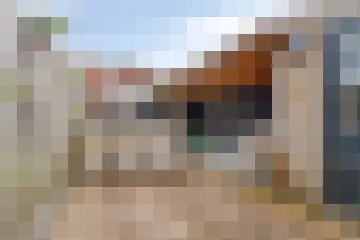 Stijgbeugel 100 Zwaag thumbnail 39