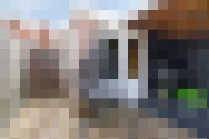 Stijgbeugel 100 Zwaag thumbnail 40