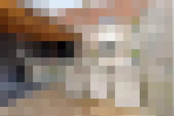 Stijgbeugel 100 Zwaag thumbnail 41