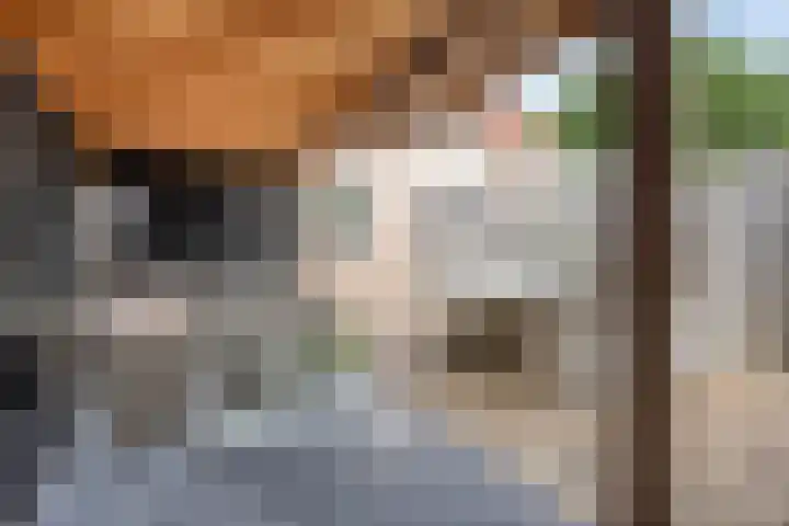 Stijgbeugel 100 Zwaag thumbnail 42