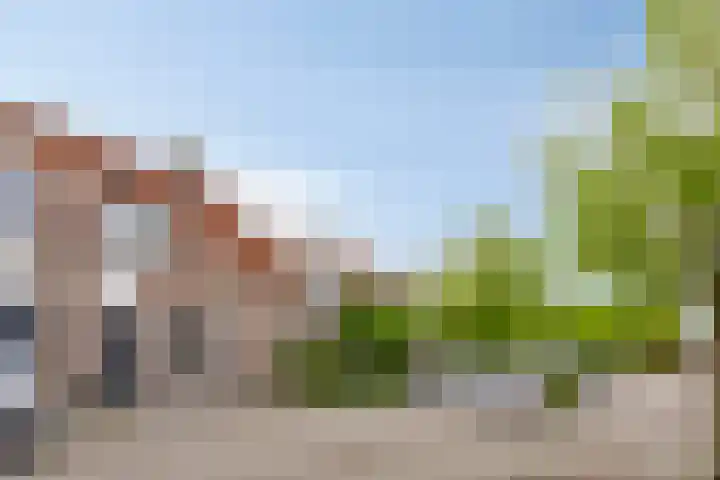 Stijgbeugel 100 Zwaag thumbnail 47