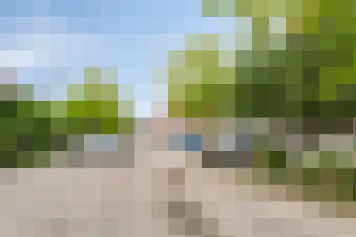 Stijgbeugel 100 Zwaag thumbnail 49