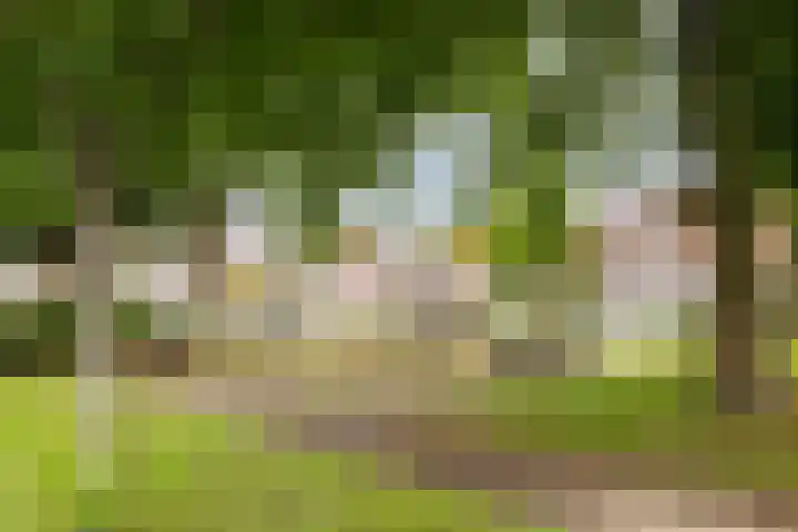 Stijgbeugel 100 Zwaag thumbnail 50