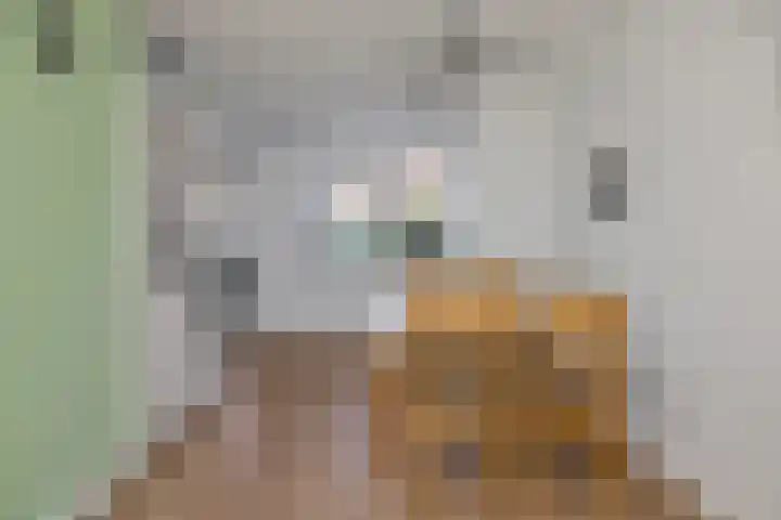 Stijgbeugel 101 Zwaag thumbnail 11