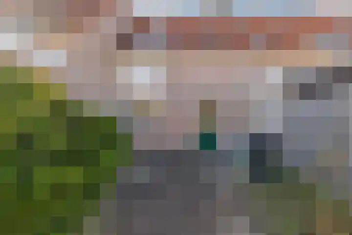 Stijgbeugel 101 Zwaag thumbnail 36