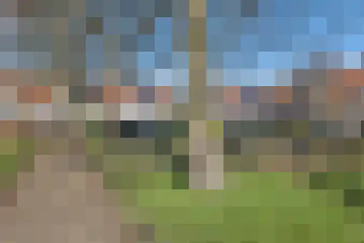 Stijgbeugel 101 Zwaag thumbnail 38