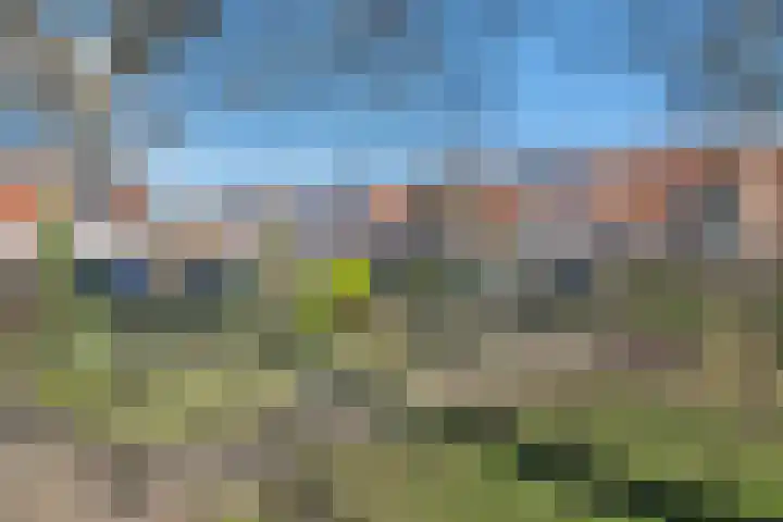 Stijgbeugel 101 Zwaag thumbnail 39