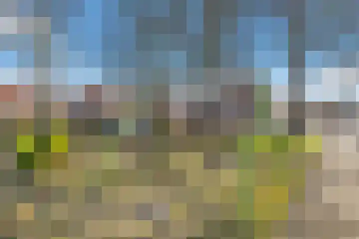 Stijgbeugel 101 Zwaag thumbnail 40