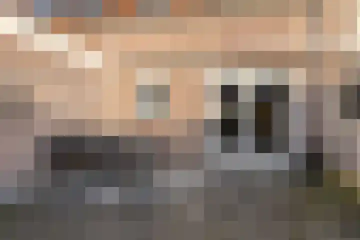 Stijgbeugel 118 Zwaag thumbnail 34