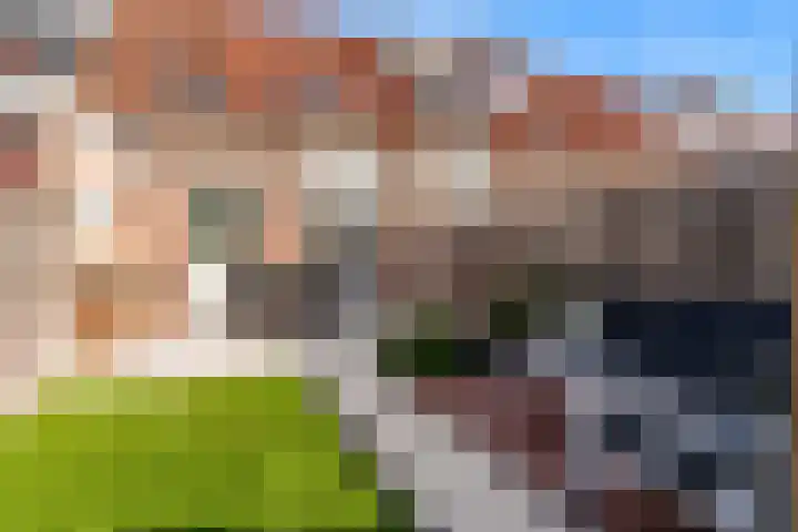Stijgbeugel 23 Zwaag thumbnail 10