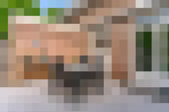 Stijgbeugel 23 Zwaag thumbnail 12