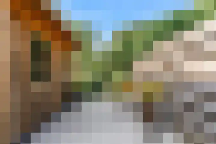 Stijgbeugel 23 Zwaag thumbnail 14