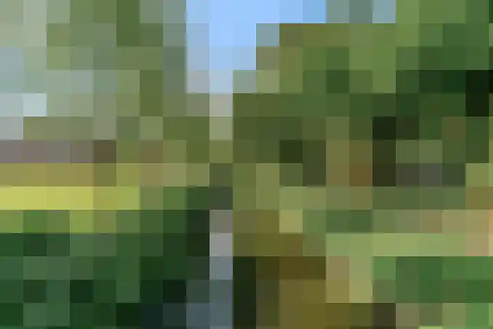 Stijgbeugel 23 Zwaag thumbnail 15