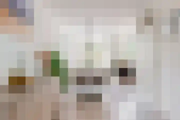 Stijgbeugel 23 Zwaag thumbnail 22