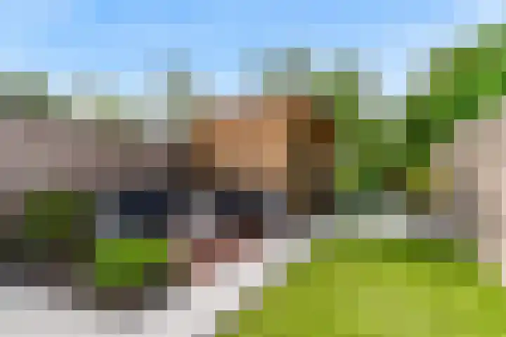Stijgbeugel 23 Zwaag thumbnail 4