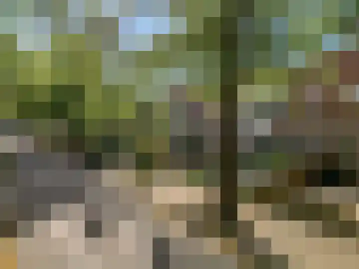 Stijgbeugel 23 Zwaag thumbnail 6