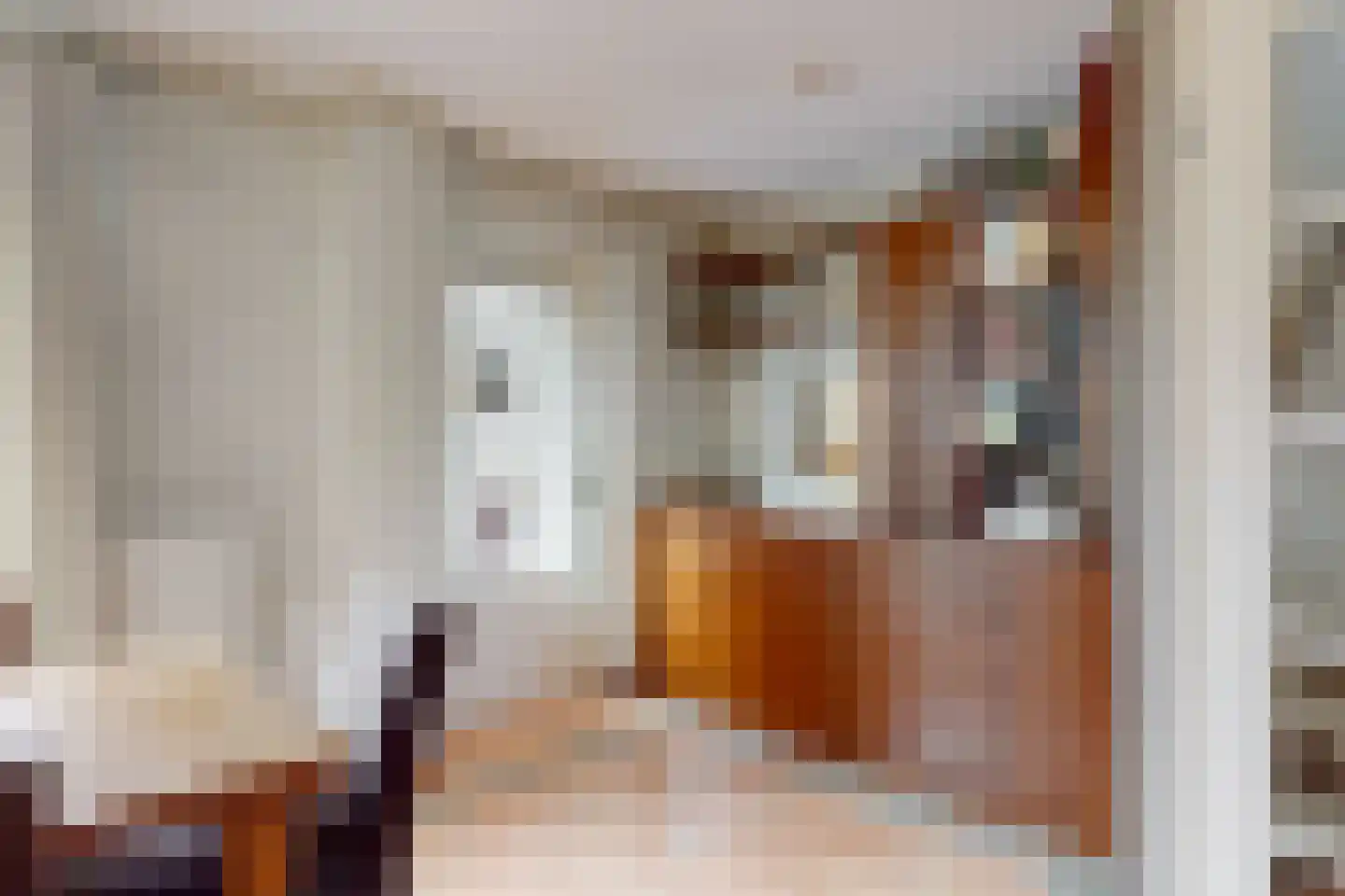 Stijgbeugel 25 Zwaag thumbnail 12