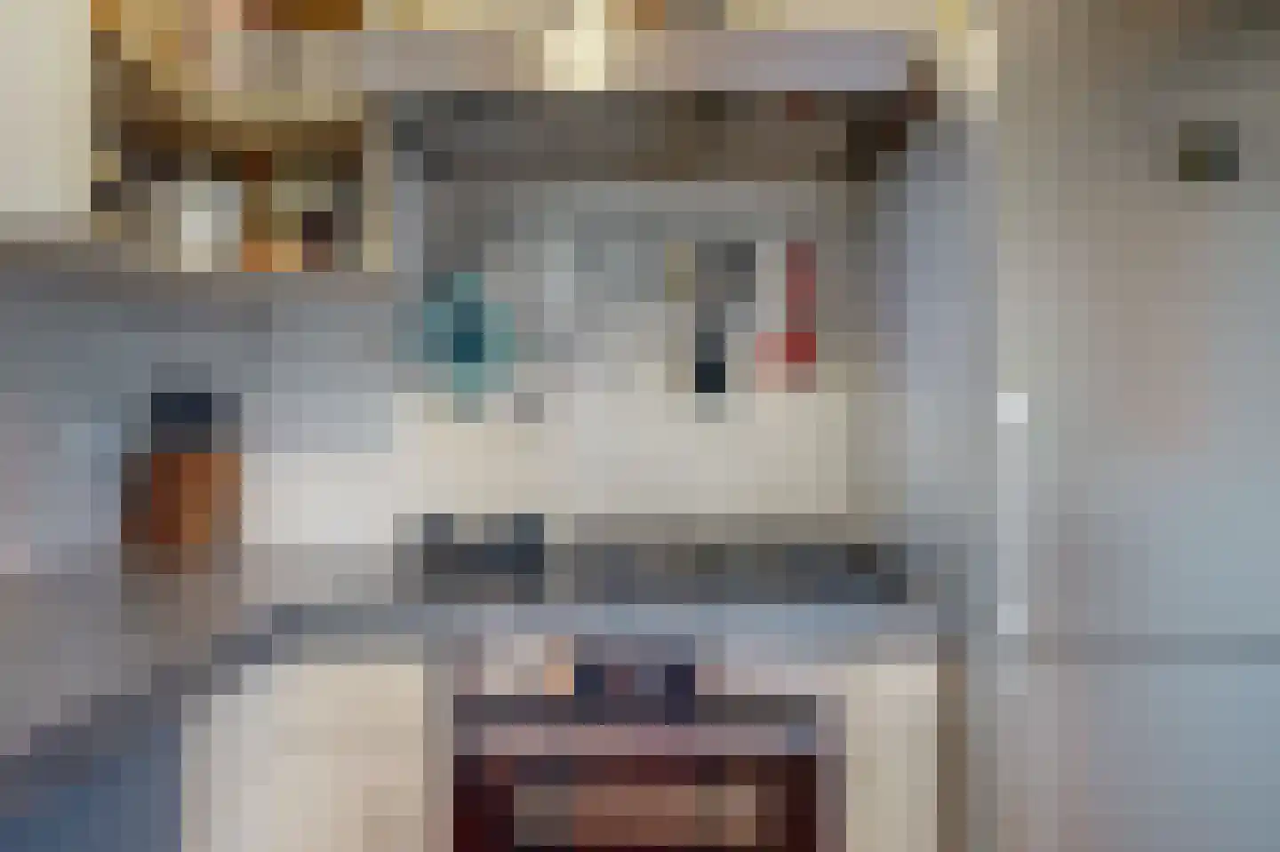 Stijgbeugel 25 Zwaag thumbnail 17