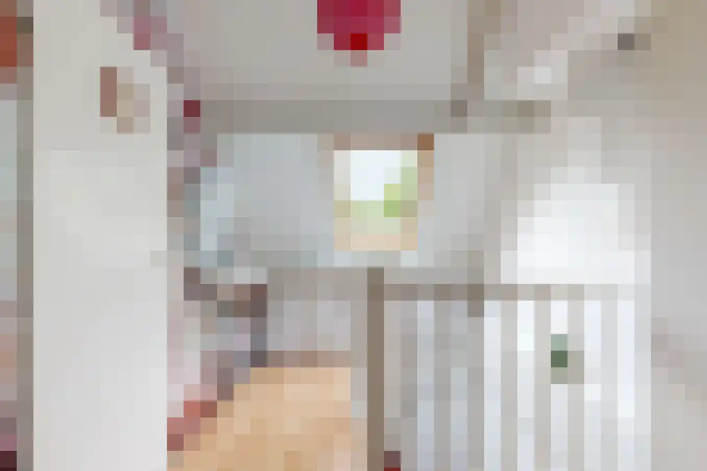 Stijgbeugel 25 Zwaag thumbnail 33