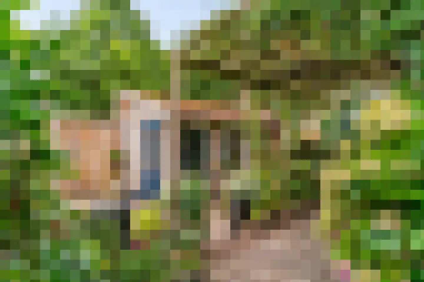 Stijgbeugel 25 Zwaag thumbnail 40