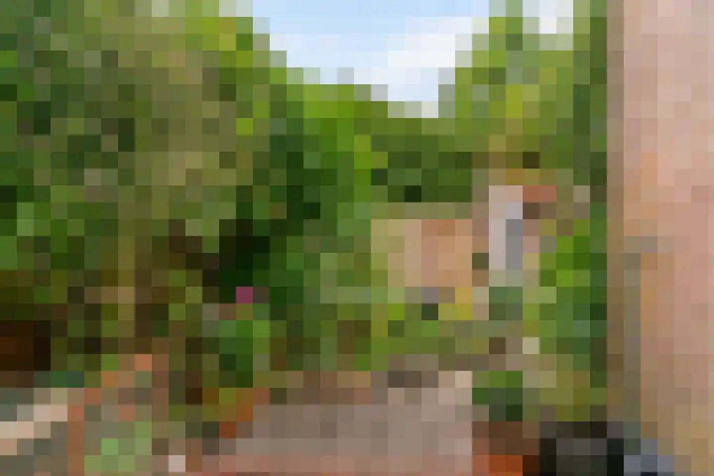 Stijgbeugel 25 Zwaag thumbnail 42