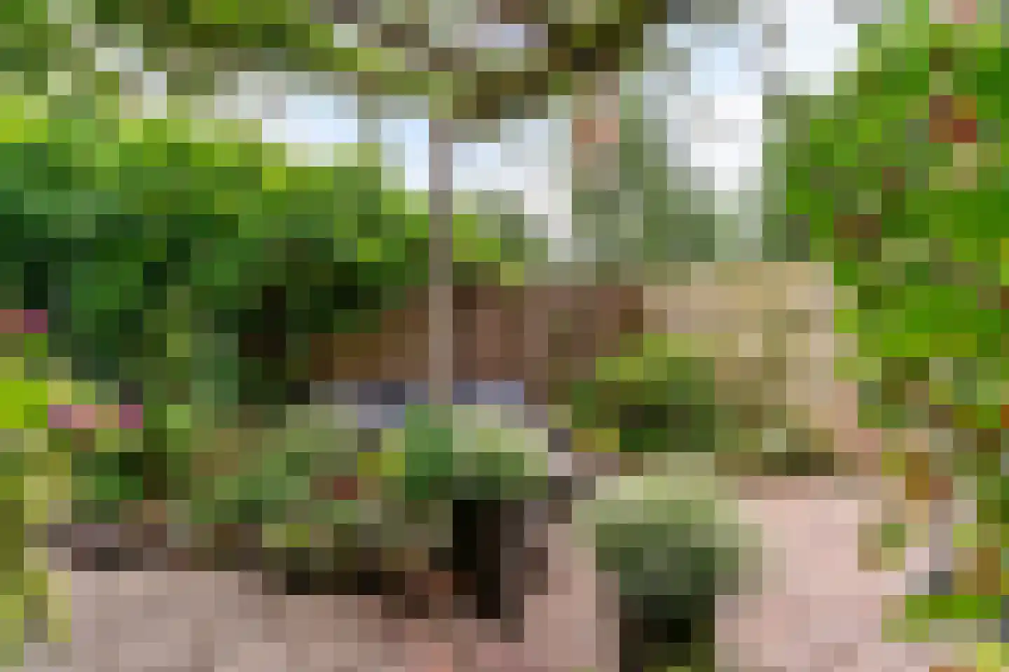 Stijgbeugel 25 Zwaag thumbnail 43