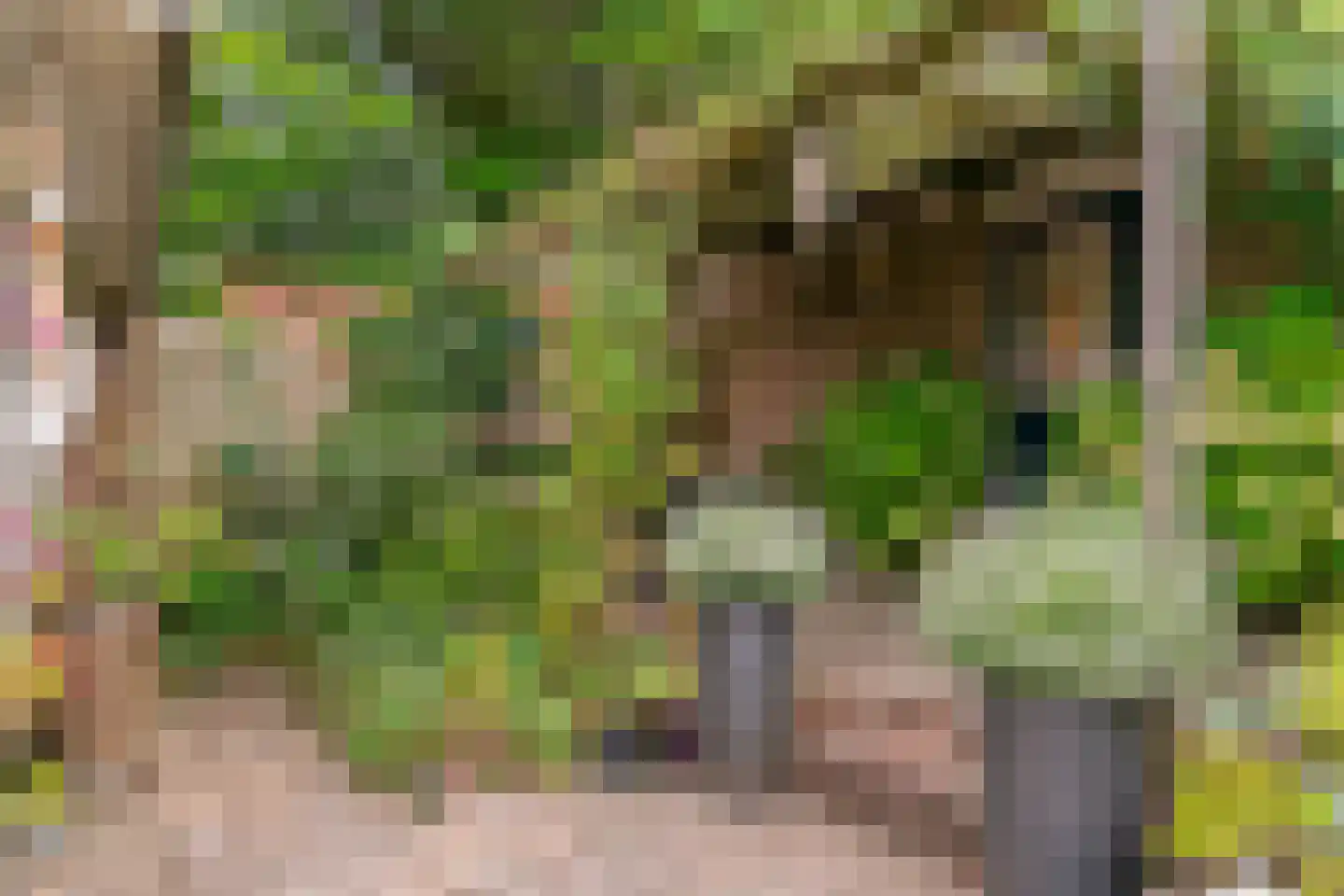 Stijgbeugel 25 Zwaag thumbnail 46