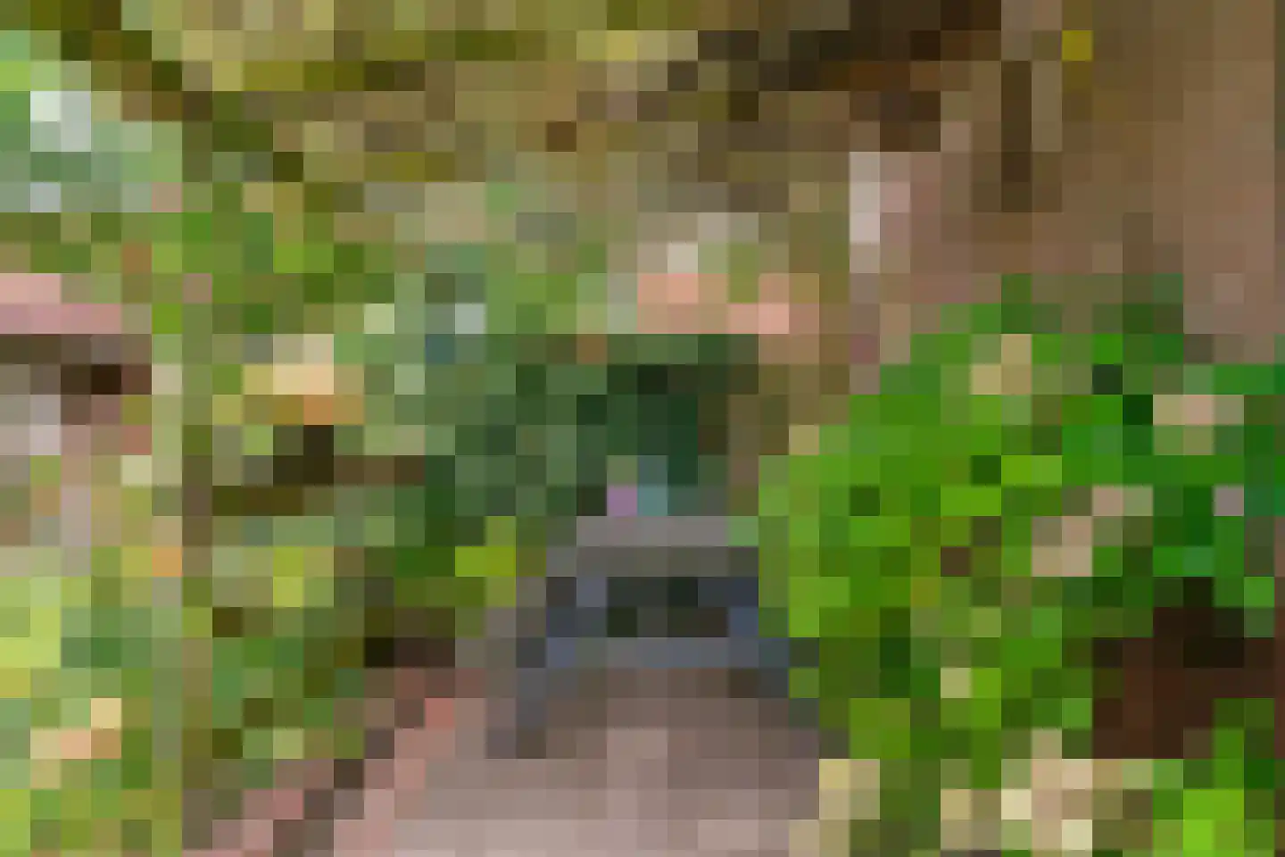 Stijgbeugel 25 Zwaag thumbnail 47