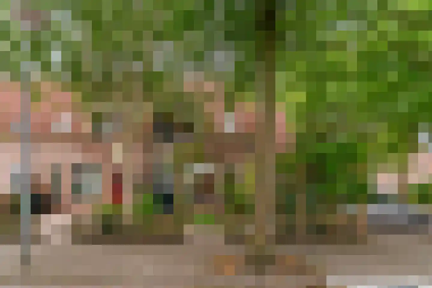 Stijgbeugel 25 Zwaag thumbnail 48