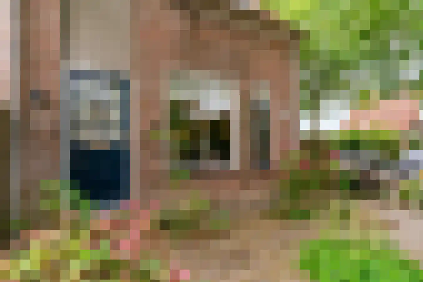Stijgbeugel 25 Zwaag thumbnail 49