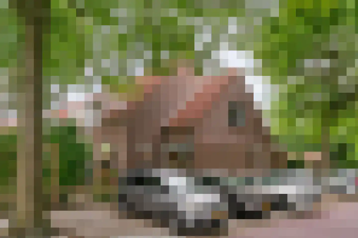 Stijgbeugel 25 Zwaag thumbnail 50