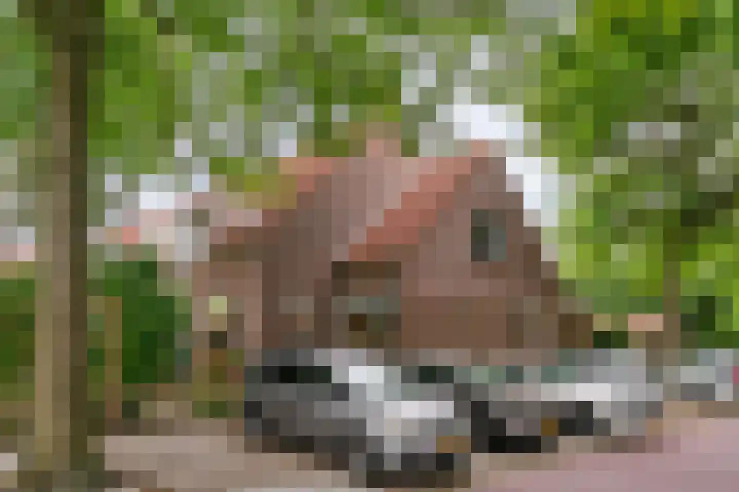 Stijgbeugel 25 Zwaag thumbnail 50
