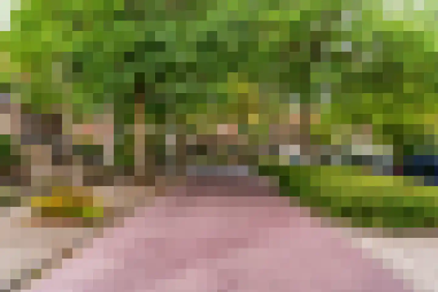 Stijgbeugel 25 Zwaag thumbnail 52
