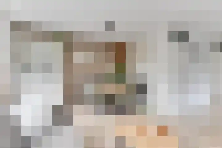 Stijgbeugel 27 Zwaag thumbnail 11