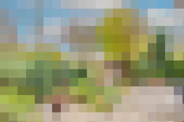 Stijgbeugel 27 Zwaag thumbnail 33