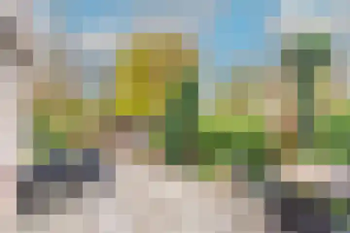 Stijgbeugel 27 Zwaag thumbnail 34