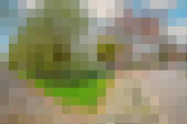 Stijgbeugel 27 Zwaag thumbnail 38