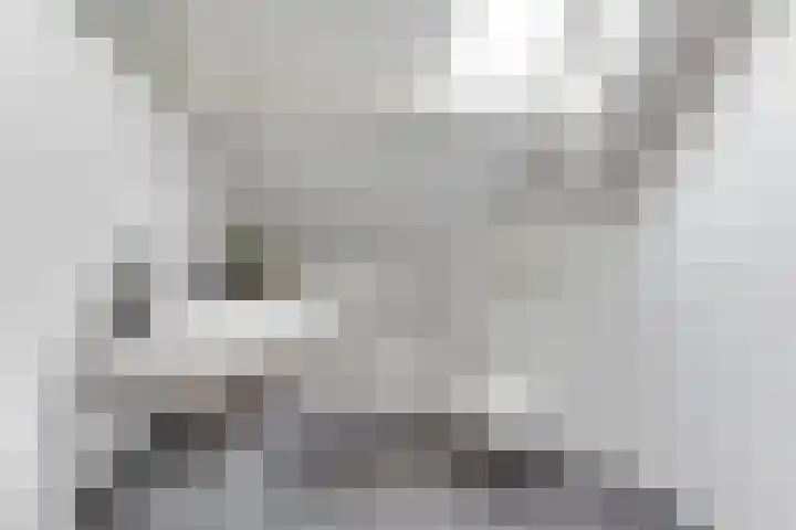 Stijgbeugel 27 Zwaag thumbnail 5