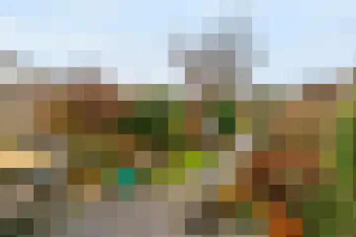 Stijgbeugel 31 Zwaag thumbnail 30