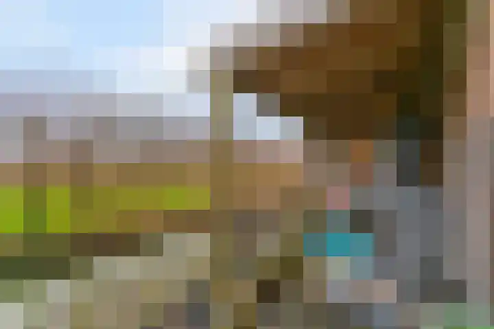 Stijgbeugel 31 Zwaag thumbnail 31