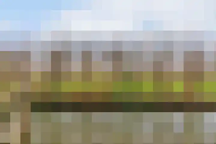 Stijgbeugel 31 Zwaag thumbnail 32