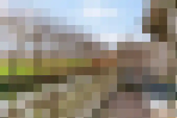 Stijgbeugel 31 Zwaag thumbnail 33