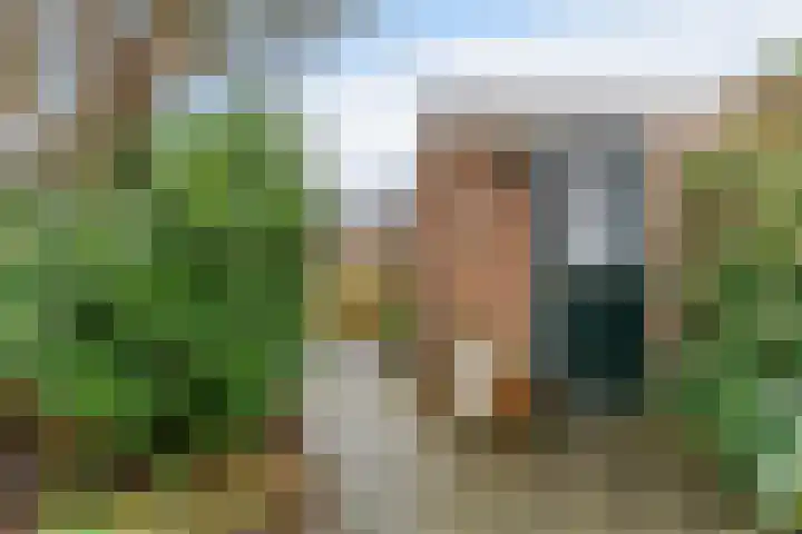 Stijgbeugel 31 Zwaag thumbnail 34