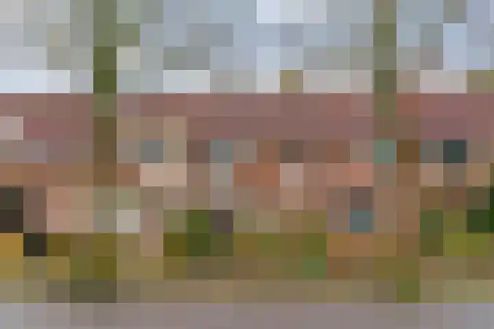 Stijgbeugel 31 Zwaag thumbnail 4