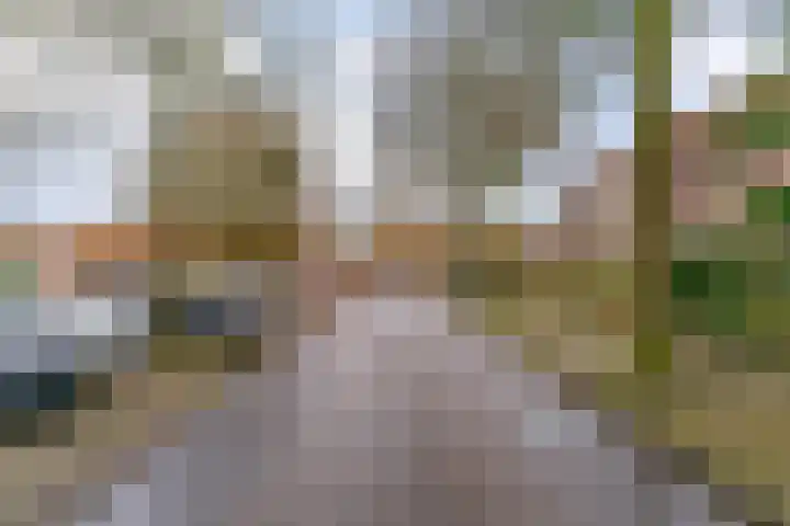 Stijgbeugel 31 Zwaag thumbnail 5