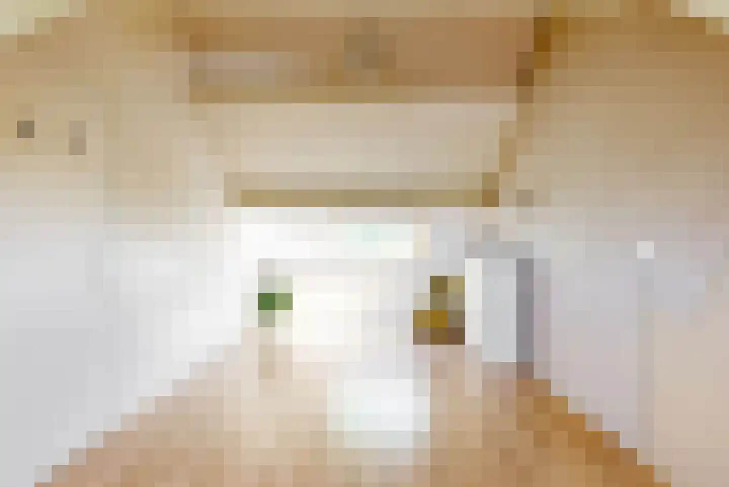 Stijgbeugel 65 Zwaag thumbnail 27